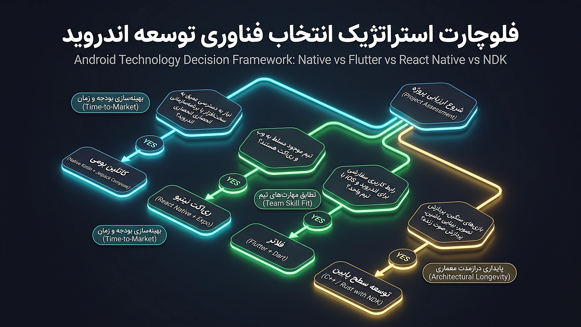 Strategic Decision Framework: Which Language Should You Choose Diagram